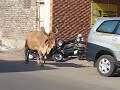 India - Rajkot