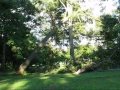 Brookdale Park Storm Damage Brookdale Park Storm Damage