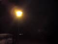 Bugge streaking in Harboøre. Stagis pisser