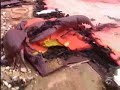 Neil Buchanan-The crab