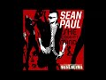 Sean Paul – She doesn't Mind REFRAIN