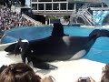 La orca gigante!!