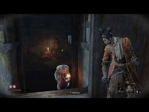 Vidéo 1
