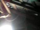Hayloft Hawk