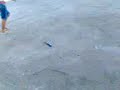 la tortura del pescao jaja