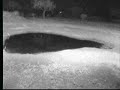 7.2.07 6.24pm Duiker and unidentified moving object in the b