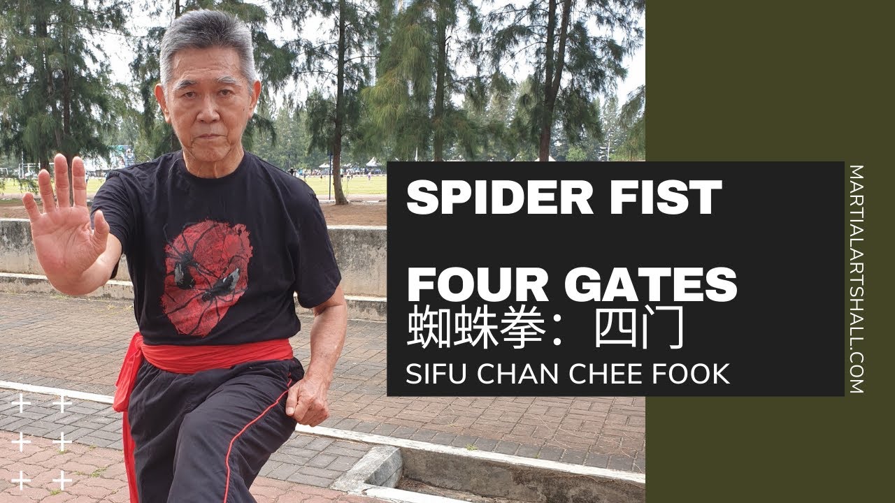 Malaysia Spider Fist : Four Gates (四门)
