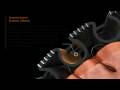 Video: X-BIONIC 3D-BionicSphere Technologie