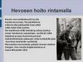Suomenhevonen sodassa