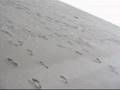 Drawing in the Sand