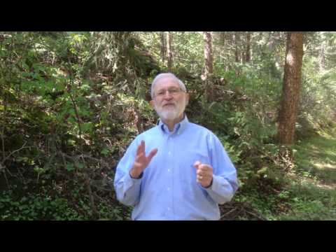 how to isolate a bully