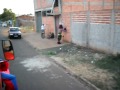 Trenzinho Carreta Furacão