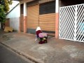 Trenzinho Carreta Furacão