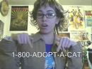 adoptacat.html