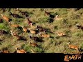Sudan Wildlife