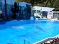 videos de Meet Shouka