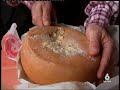 Queso de gusanos - Cerde�a Italia