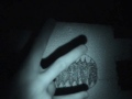 styrofoam robotting somones yard