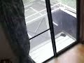 www.DAITIME.com Daiwu Japan Apartment Tour