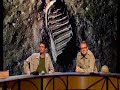 QI Mannequin Bird