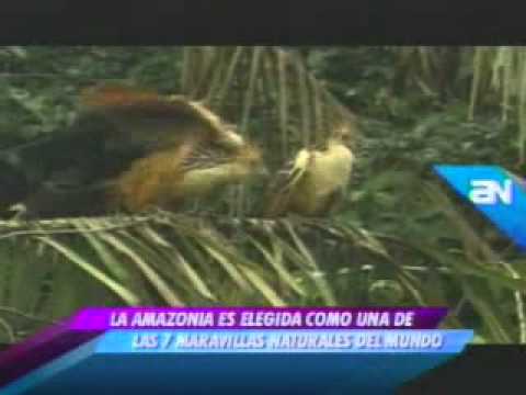 Tv En Vivo Canal 4 America Noticias