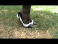 Zapatos de tacon y pantimedias