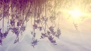 Ane Brun - Into My Arms tekst piosenki