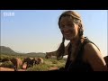 One day old baby elephant - BBC Animals