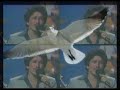 Gaviota - Hablando De Amores