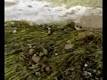 inundaciones en torrecilla de la tiesa