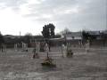 23 nov 2008 : CSO Courcelles 8