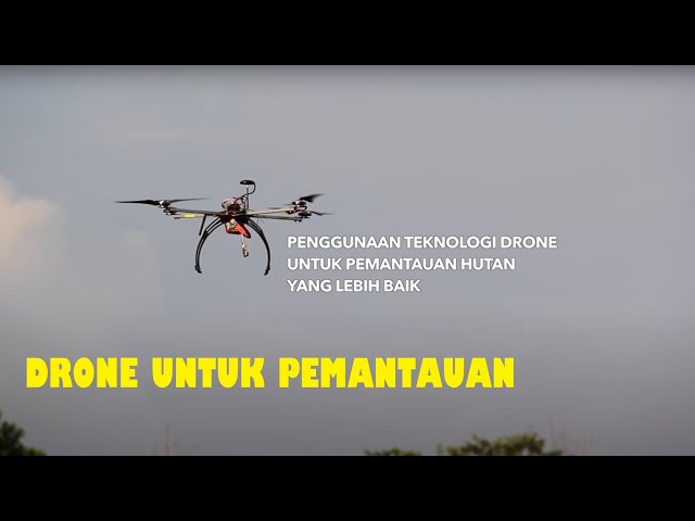 Drone Untuk Pemantauan Hutan