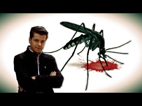 Polimaty #37 Ko(sz)mar nocy letniej