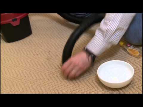 how to remove urine from a carpet