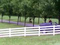Jon Gosselin plays with Shoka & Nala at their home in Wernersville, PA