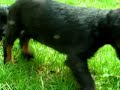 Cliquez pour voir la vid�o
