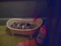 mckenna's bath.wmv