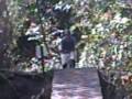 videos de Big gulp at markham park 3
