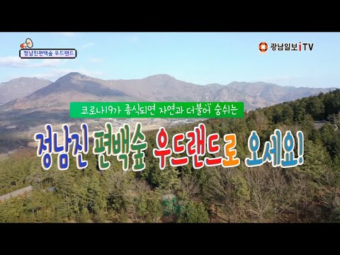 (전남랜선여행) 장흥 정남진 편백숲 우드랜드