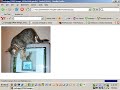 Finding Images For Your Website Finding Images For Your Website