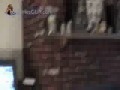 Tourettes guy at it again.