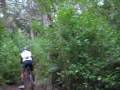 Btt Monsanto 1 Btt Monsanto 1