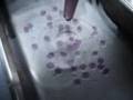 cuisine moleculaire: caviar de violette