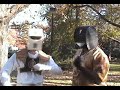 awesome-rangers-2-part-1.html