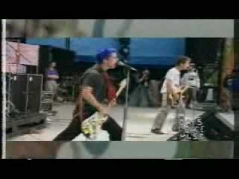 Green Day Basket Case (Woodstock 1994)