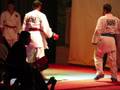 videos de CID Marvin Silva - Kumite Fernando Zerlin