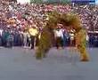 Porrazo Chilpancingo 2007