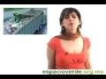 videos de Ecología ¡Lo mejor de 2008!