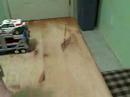 RID Prime and Magnus Part 3