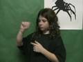 Anansi-does-the-Impo